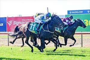RICH PEDIGREE TO FORE AT ECHUCA